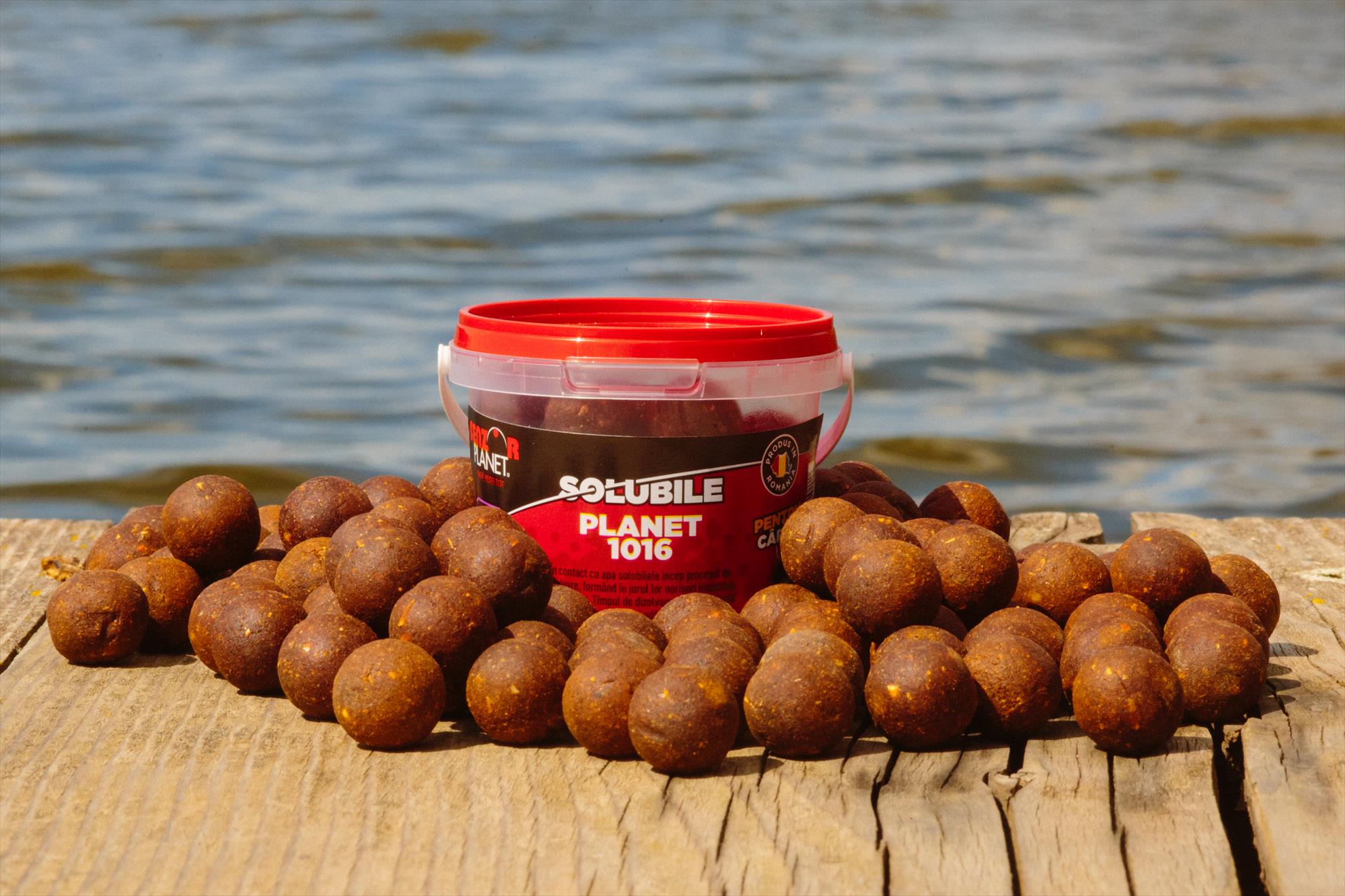 SNZ 2017 - senzor-pe-balta---050.jpg